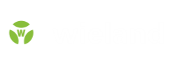 Logo Wieland Electric GmbH